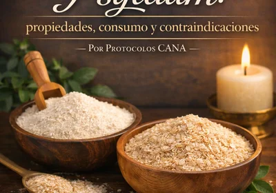 Psyllium: propiedades, consumo y contraindicaciones