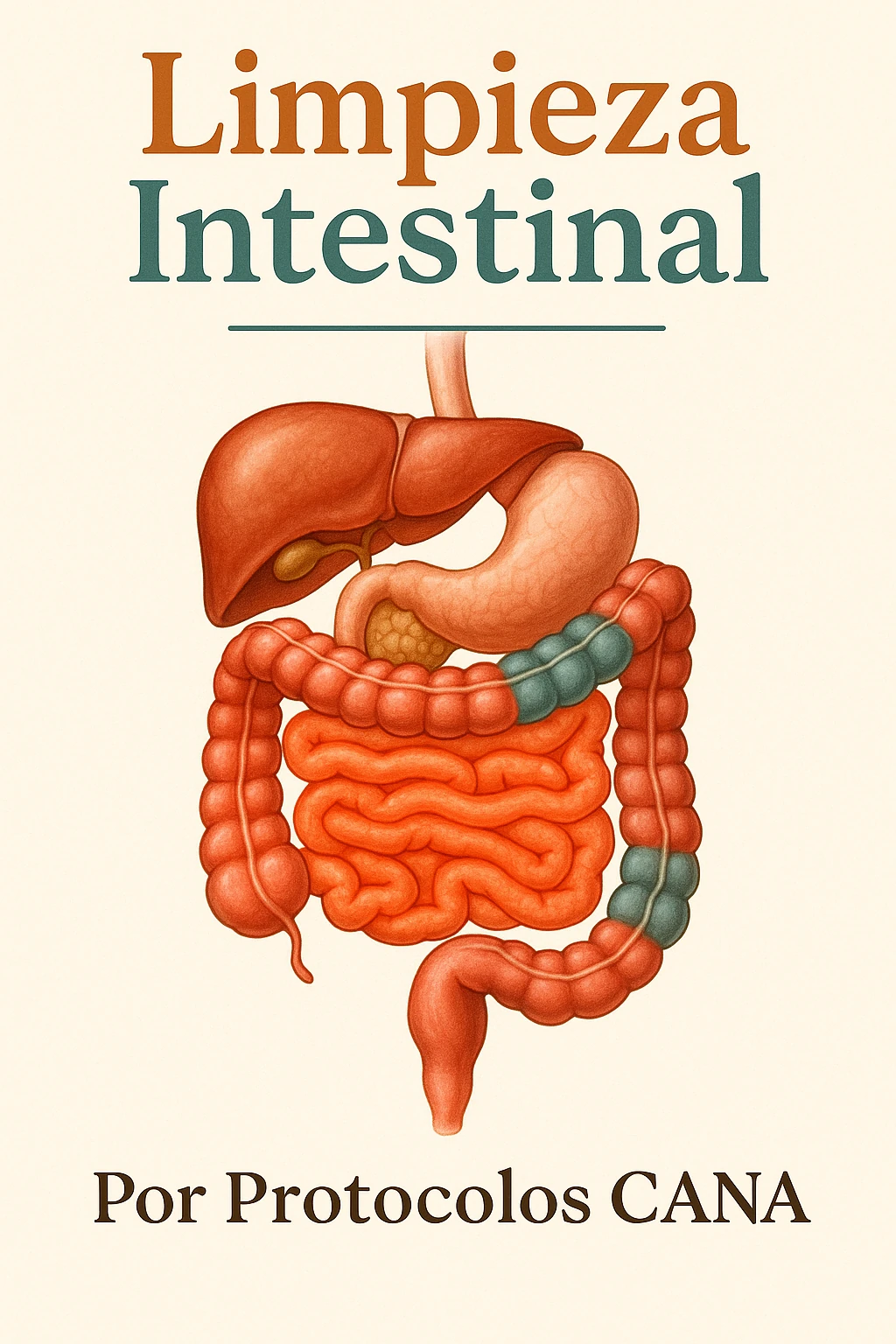 Protocolo de limpieza intestinal (intenso)