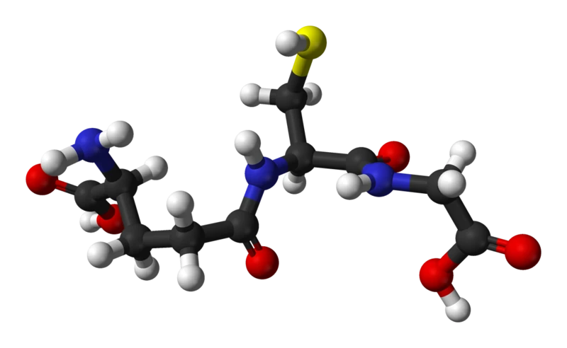 El glutatión: Un pilar de la salud integral