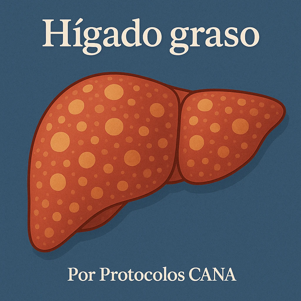 Protocolo para el hígado graso