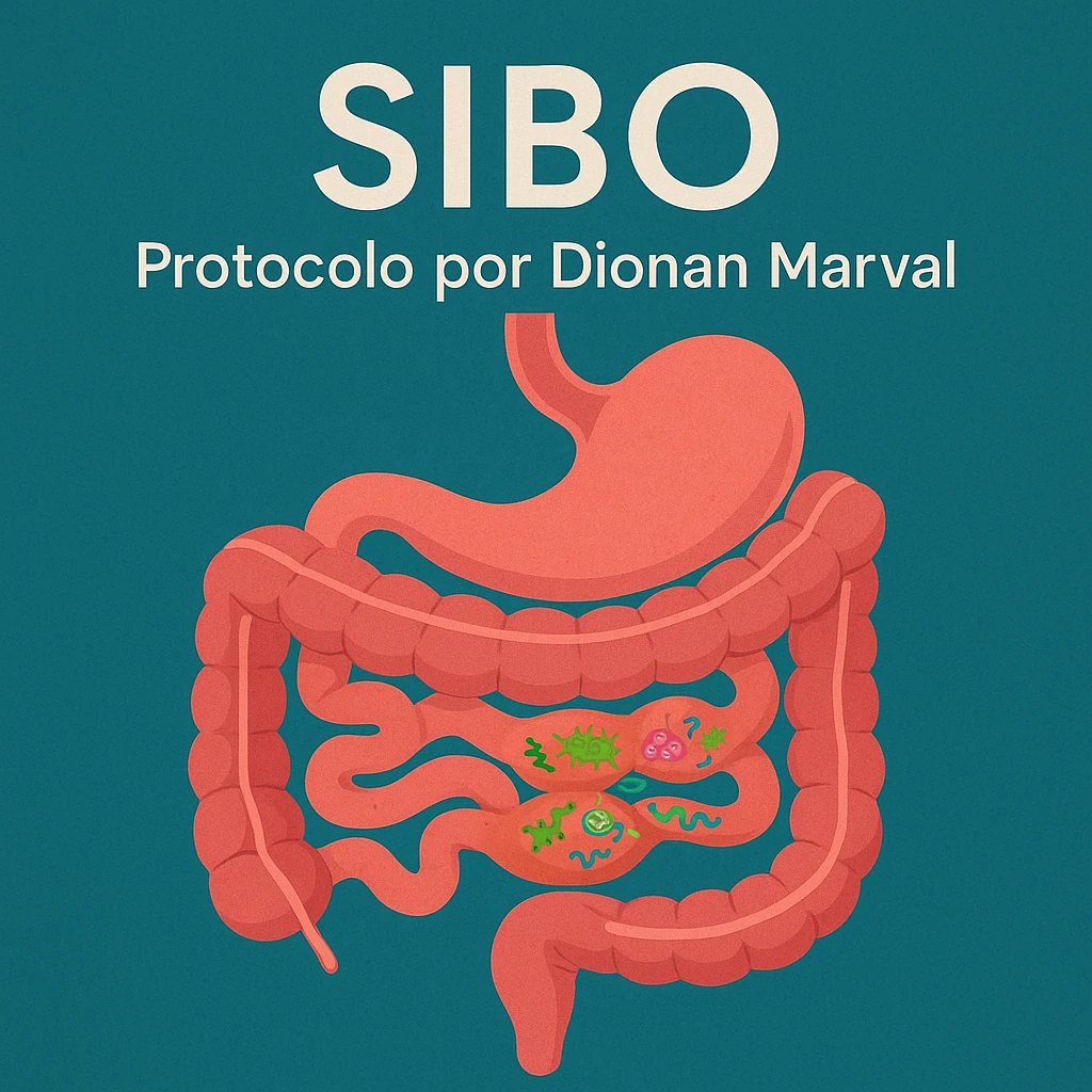 Protocolo para SIBO